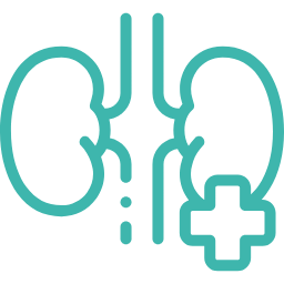 nefrologia_logo